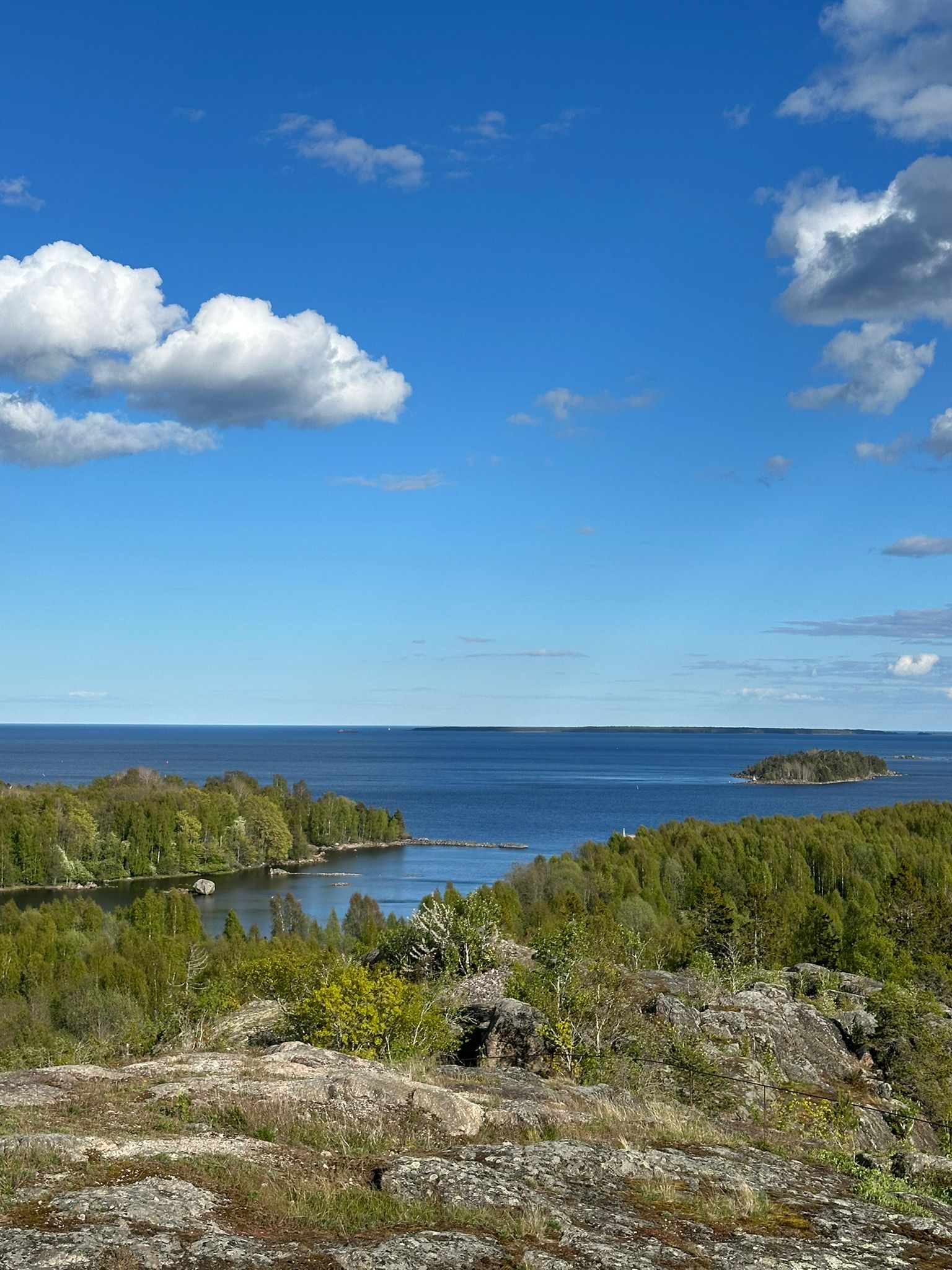 Utsikt &ouml;ver en vik i H&auml;lsingland